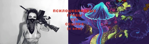 бошки Горняк