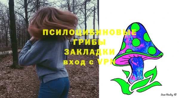 стафф Горно-Алтайск