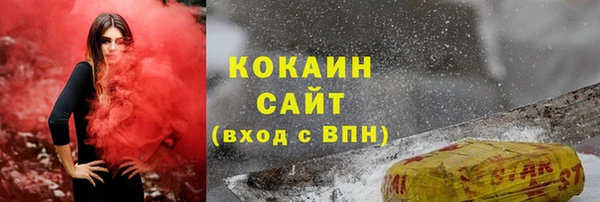 бошки Горняк